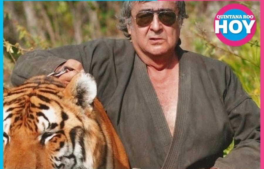 Cancún se moviliza por Pepe Tigre y sus jaguares