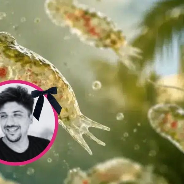 Ameba comecerebros causa muerte en Mérida; Qué es y alertas