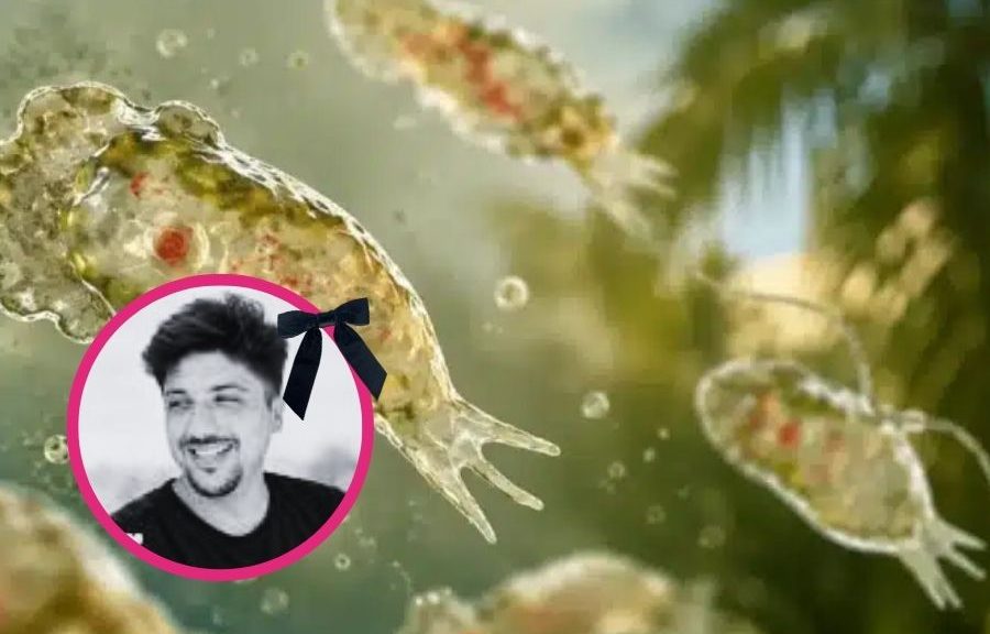 Ameba comecerebros causa muerte en Mérida; Qué es y alertas