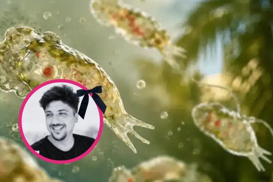 Ameba comecerebros causa muerte en Mérida; Qué es y alertas
