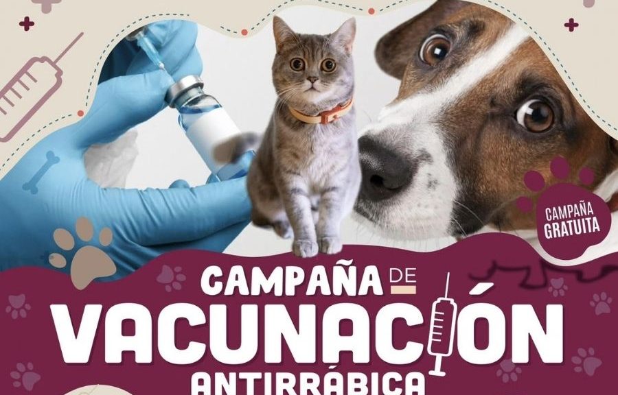Vacunación antirrábica gratuita en Benito Juárez