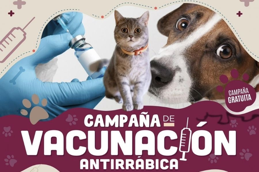 Vacunación antirrábica gratuita en Benito Juárez