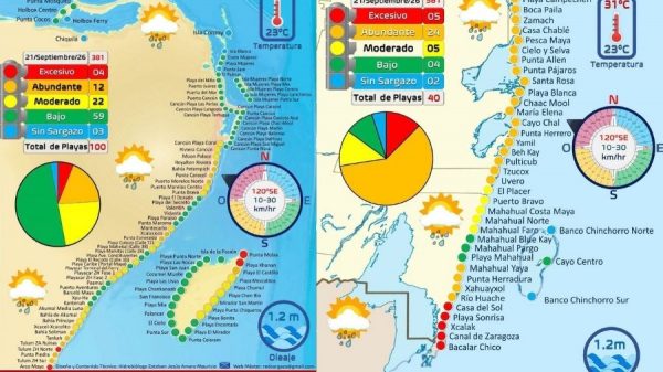 Sargazo presente tensa situación en playas de Quintana Roo