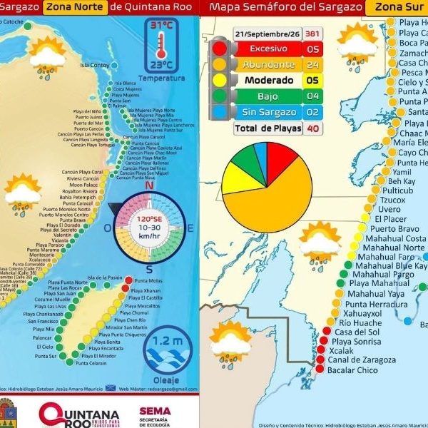 Sargazo presente tensa situación en playas de Quintana Roo