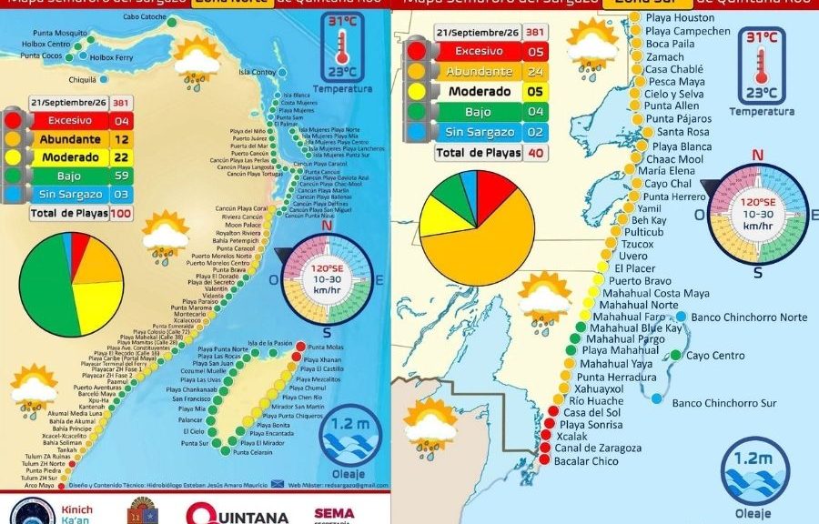 Sargazo presente tensa situación en playas de Quintana Roo