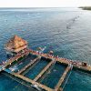 Cozumel recibe a 2 mil 500 triatletas por el Ironman 70.3