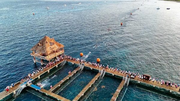 Cozumel recibe a 2 mil 500 triatletas por el Ironman 70.3