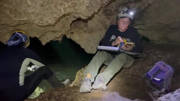 Analizan 10 cenotes contaminados de Playa del Carmen