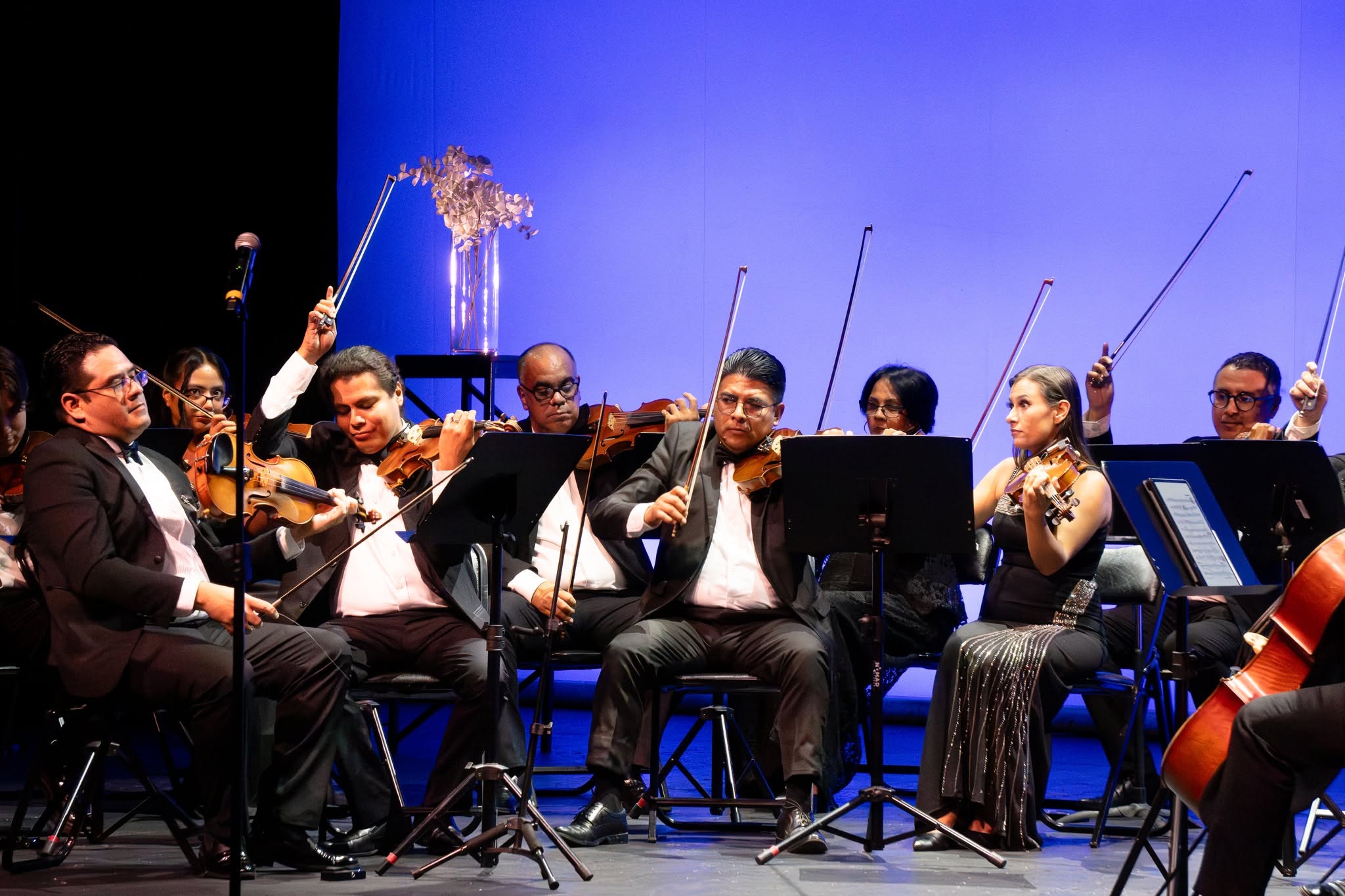 Taller de Apreciación Musical llega a Cancún
