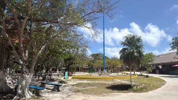 Alistan regreso de los Voladores de Papantla