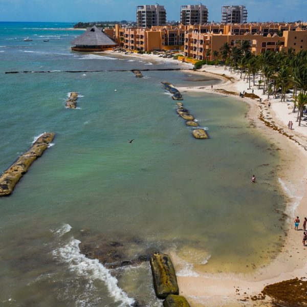¿Qué tan sano está realmente el mar de Quintana Roo?