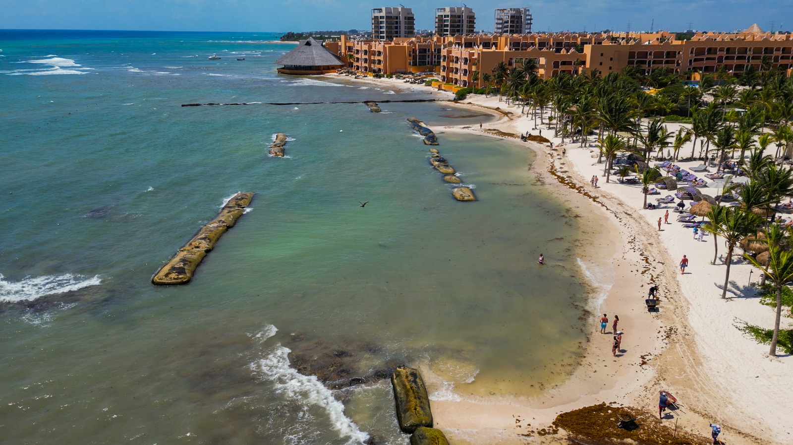 ¿Qué tan sano está realmente el mar de Quintana Roo?