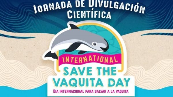 La vaquita marina llega a Las Palapas en Cancún