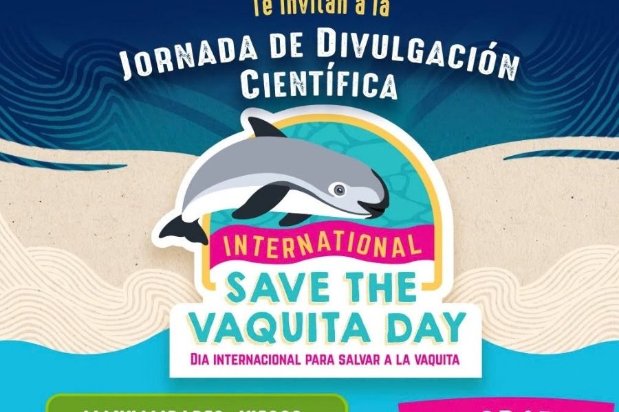 La vaquita marina llega a Las Palapas en Cancún