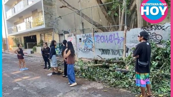 Vecinos forman valla humana por álamo en Playa del Carmen