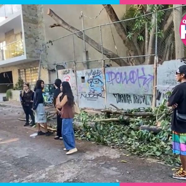 Vecinos forman valla humana por álamo en Playa del Carmen