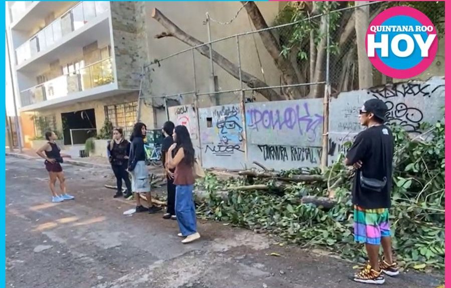 Vecinos forman valla humana por álamo en Playa del Carmen