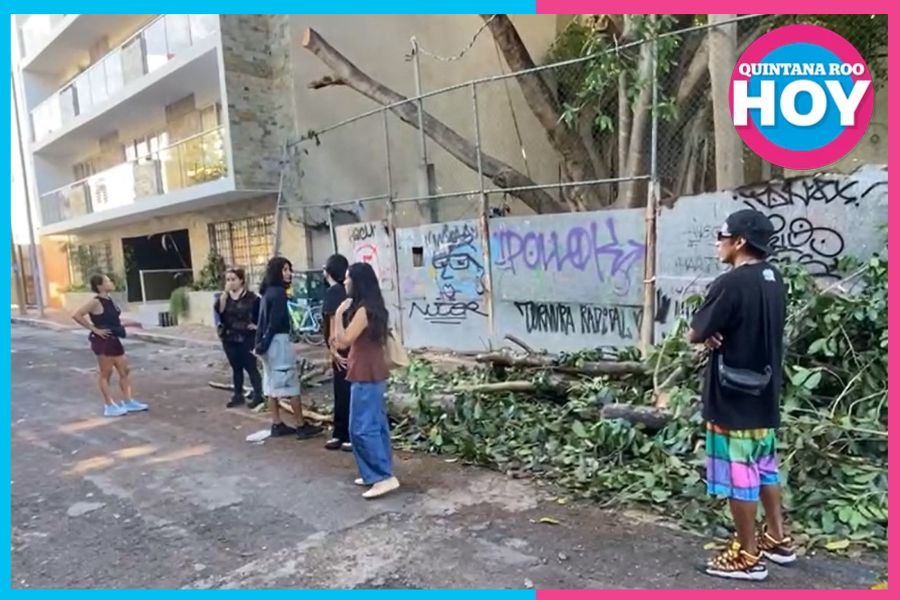 Vecinos forman valla humana por álamo en Playa del Carmen