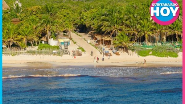 Playas de Tulum mejoran sus condiciones ante la disminución del sargazo