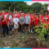 Arboriza Cancún suma árboles en avenida 20 de Noviembre