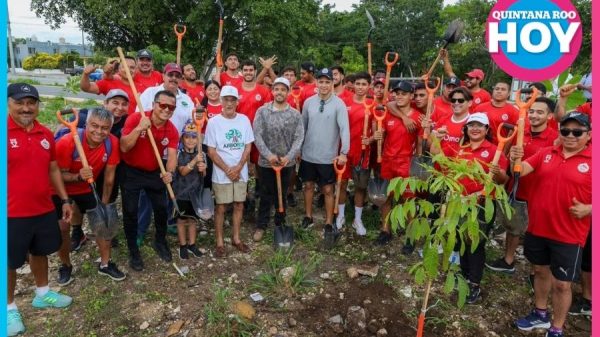 Arboriza Cancún suma árboles en avenida 20 de Noviembre