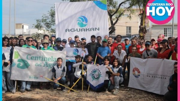 Limpian cenote de la Supermanzana 523 para proteger ecosistema