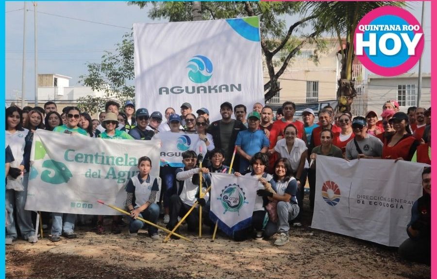Limpian cenote de la Supermanzana 523 para proteger ecosistema
