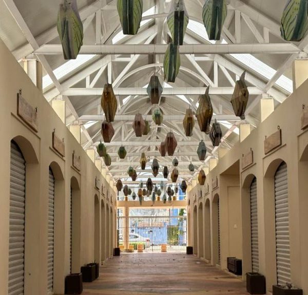Mercado de Puerto Juárez prevé abrir el 30 de octubre