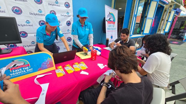 Cancún tendrá jornada por la vaquita marina