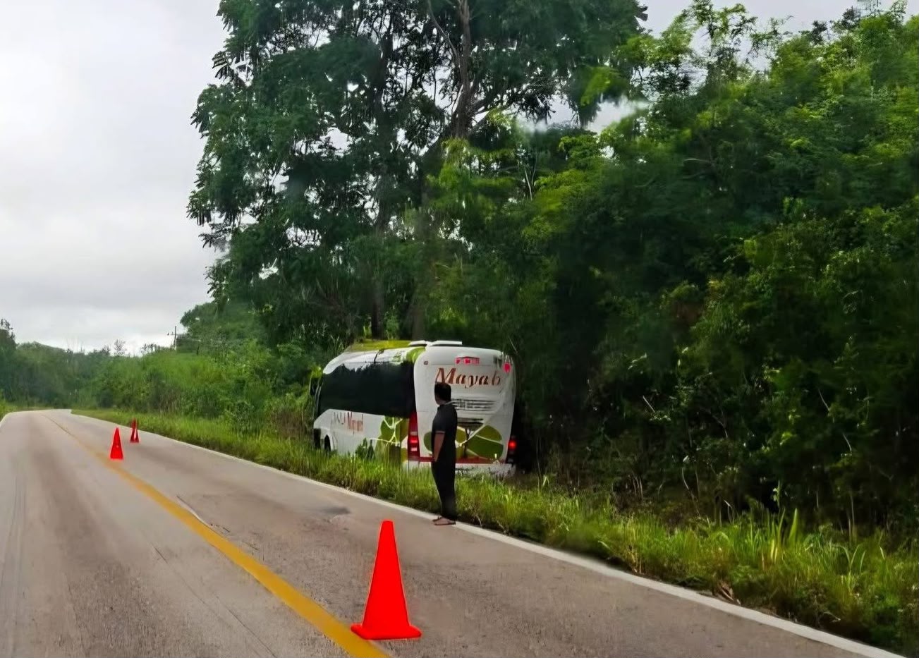 Autobús Mayab choca contra árbol en José María Morelos