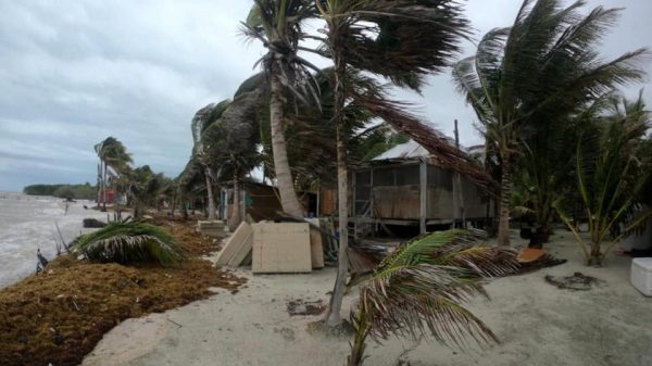 Comunidades de Carrillo Puerto, vulnerables ante ciclones
