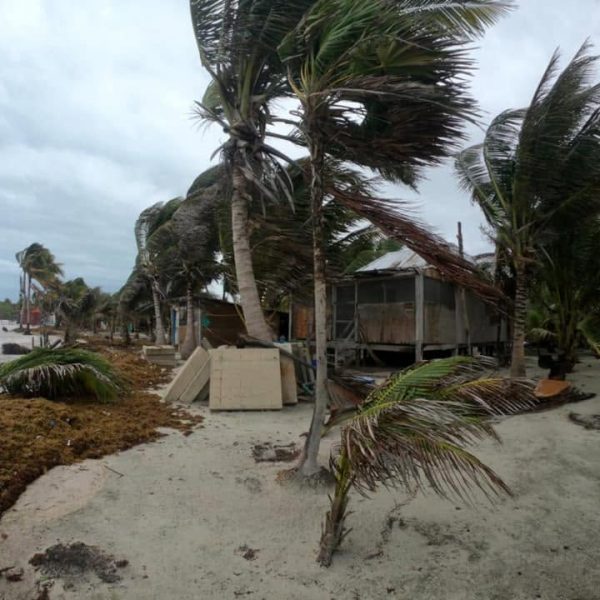 Comunidades de Carrillo Puerto, vulnerables ante ciclones