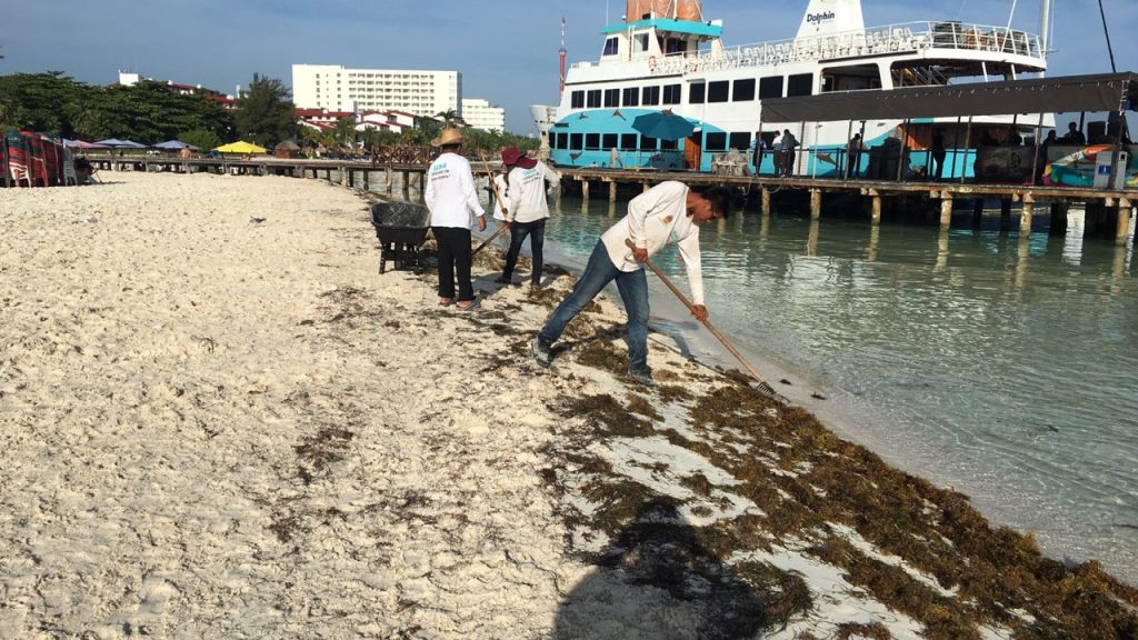 Playas de Quintana Roo pierden hasta 14 metros de arena al año
