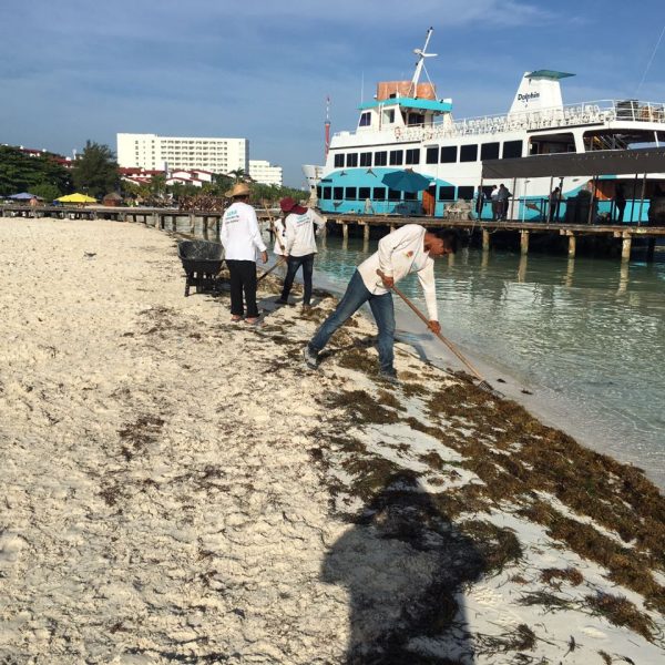 Playas de Quintana Roo pierden hasta 14 metros de arena al año