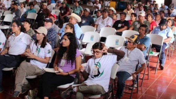 Ejidos de Quintana Roo analizan los bonos de carbono