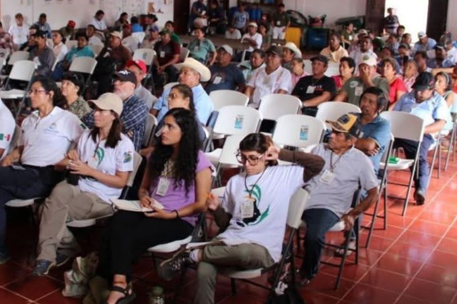 Ejidos de Quintana Roo analizan los bonos de carbono