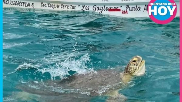 National Geographic destaca a Maya Ka’an para 2027