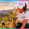 Diageo México entra al Top 5 de Empresas Responsables 2026