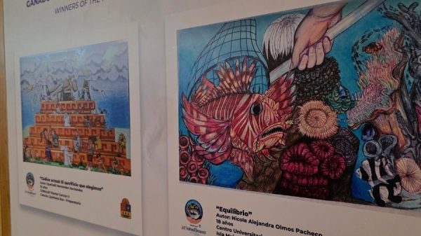 Arte y educación ambiental se unen en Cancún