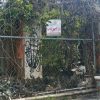 Cancún inicia inventario de inmuebles abandonados